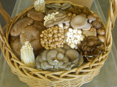 Fresh cultivated mushrooms