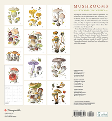 Merch - 2024 Mushrooms calendars, gift cards, caps