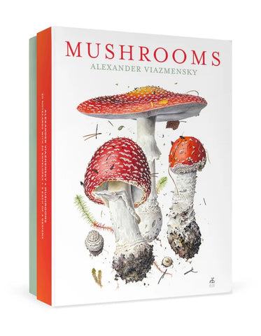 Mushroom themed note cards (watercolors by mushroom artist Alexander Viazmensky)