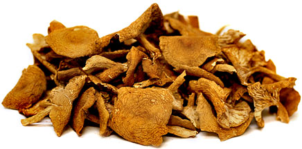 Dried USA Candy Cap Mushrooms (Lactarius spp.)