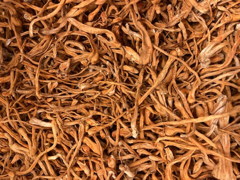 Dried Organic Cordyceps Mushrooms