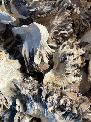 Dried Organic Maitake Mushrooms (Hen of the Woods)