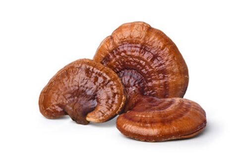 Dried Organic Reishi Mushrooms (Whole)