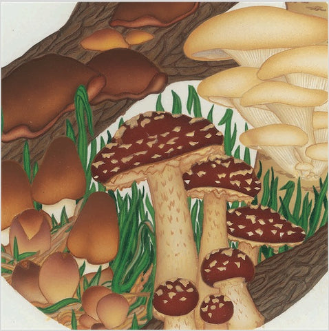 Dried Stir-fry Blend: Shiitake, Wood Ear, Paddystraw, Oyster