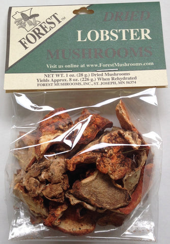 Dried USA Lobster Mushrooms