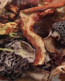 Dried Woodland Blend: <br>Morel, Porcini, Lobster, Oyster, Chanterelle