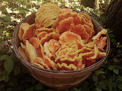 Wild mushrooms and spring greens