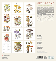 Merch - Note cards, caps, gift cards
