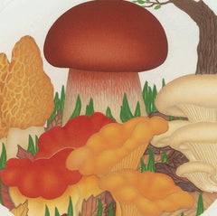 USA dried mushrooms