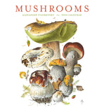 Mushroom themed 2024 calendar (watercolors by mushroom artist Alexander Viazmensky)