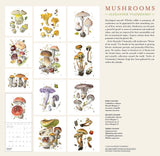 Mushroom themed 2024 calendar (watercolors by mushroom artist Alexander Viazmensky)