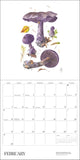 Mushroom themed 2027 calendar (watercolors by mushroom artist Alexander Viazmensky)