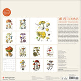 Mushroom themed 2027 calendar (watercolors by mushroom artist Alexander Viazmensky)