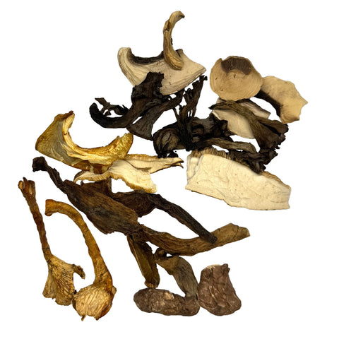 Dried Blue Ribbon Blend: Black Trumpet, Portabella, Porcini, Agaricus, Shiitake, Chanterelle (bulk)