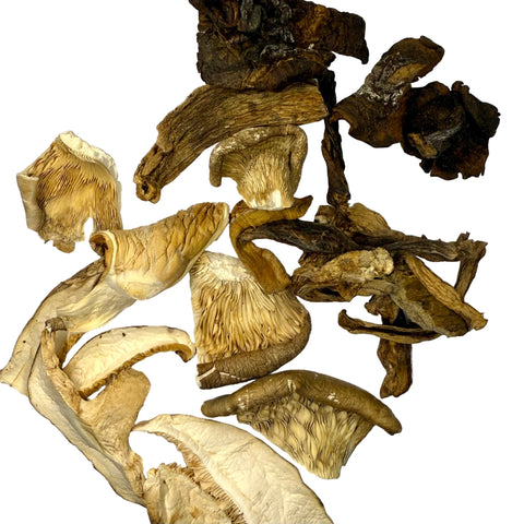Dried Forest Blend: Slippery Jack, Shiitake, Porcini, Oyster (bulk)