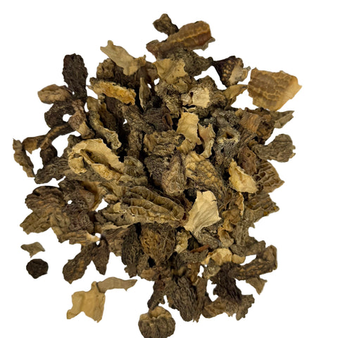 Dried USA No. 2 Morel (bulk)