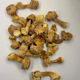 Dried Organic Almond Mushrooms (Agaricus blazei)