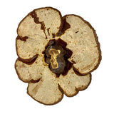 Dried Organic Reishi Mushrooms (Whole)