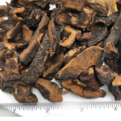 Dried Slippery Jack (Bolet Mushroom)<br> <i>Boletus luteus</i> (bulk)