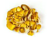 Dried Golden Oyster Mushrooms