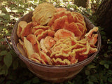 Chicken of the Woods</h1><br>August-October