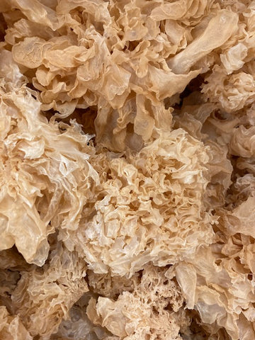 Dried Organic "Eastern Cauliflower" or "Snow" Mushrooms (Tremella fuciformis)