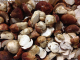 Dried Porcini Premium Mushrooms (bulk)