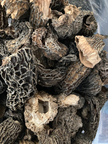 Dried USA No. 2 Morel (bulk)