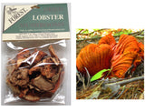 Dried USA Lobster Mushrooms