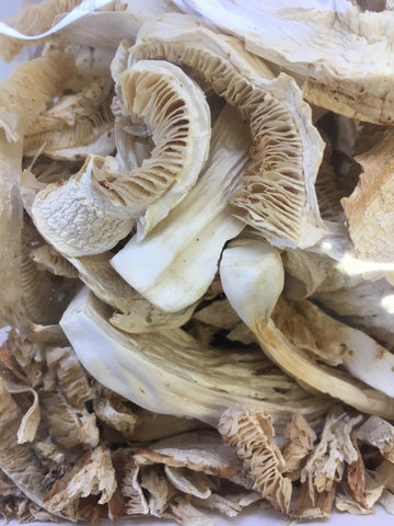 Dried USA Matsutake Mushrooms