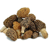 Morel Mushrooms</h1><br>March-early August
