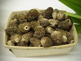 Morel Mushrooms</h1><br>March-early August