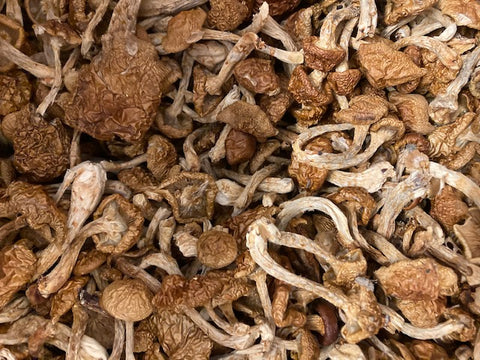 Dried Nameko Mushrooms