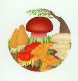 Dried Woodland Blend: <br>Morel, Porcini, Lobster, Oyster, Chanterelle