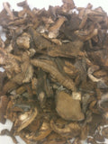 Dried Slippery Jack<br> <i>Boletus luteus</i> (bulk)