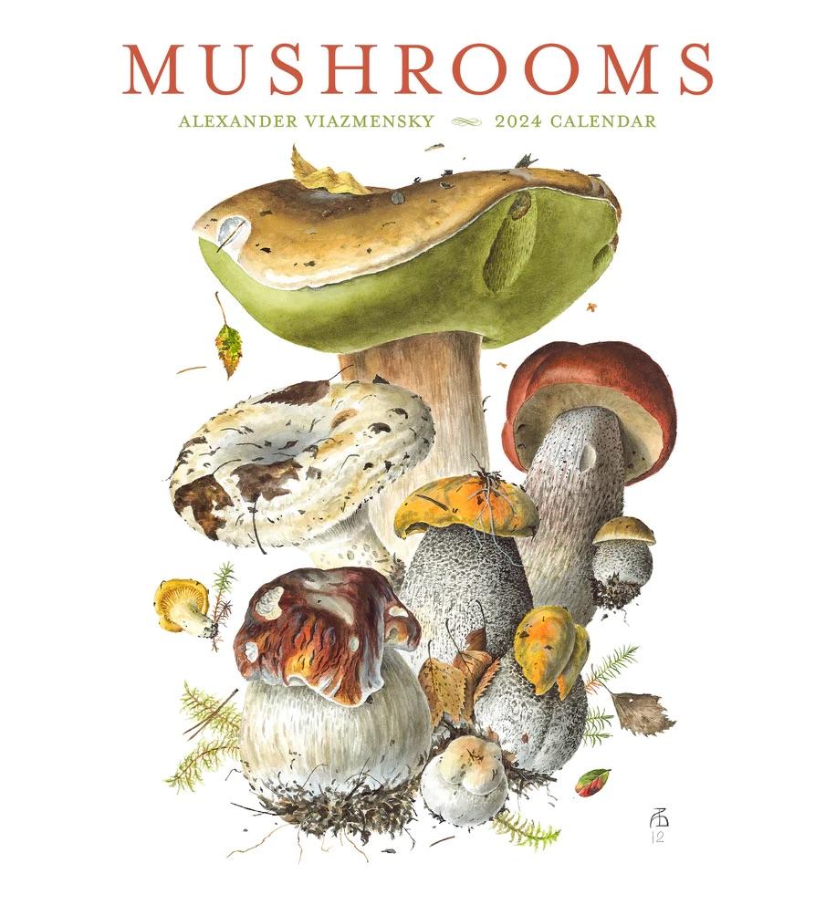 Shitake Mushroom - Ruff Greens